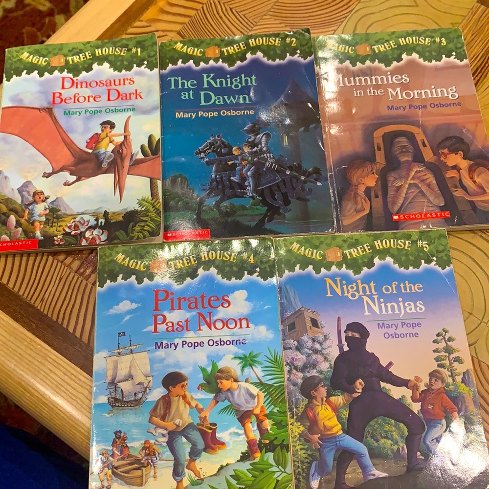 Magic Tree House 10 Books